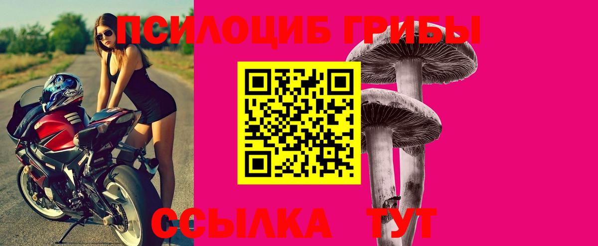 Псилоцибиновые грибы ЛСД Сосновоборск