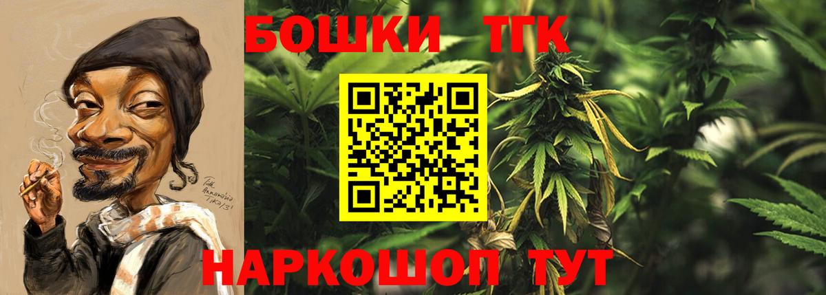 Бошки Шишки план Сосновоборск